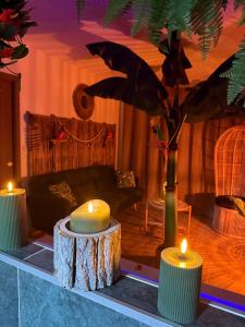 Φωτογραφία από το άλμπουμ του Lodge de la Jungle avec Spa σε Nanteuil-lès-Meaux