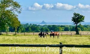 Foto dalla galleria di La Bretonniere a Dragey