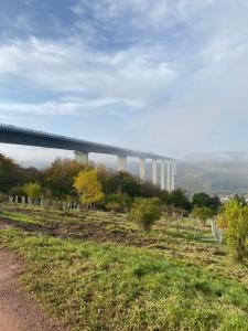 Fotografie z fotogalerie ubytování Weinhof Michael Morbach v destinaci Zeltingen-Rachtig