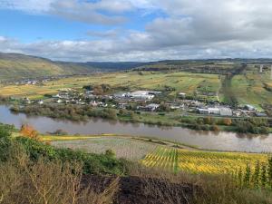 Fotografie z fotogalerie ubytování Weinhof Michael Morbach v destinaci Zeltingen-Rachtig