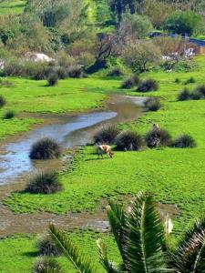 Φυσικό τοπίο κοντά σε αυτό το διαμέρισμα
