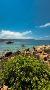 Φυσικό τοπίο κοντά σε αυτό το διαμέρισμα