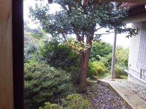 Giardino di 旅館青柳 海越し立山連峰の雪山絶景で休もう