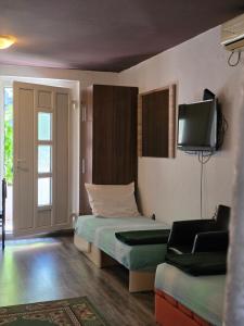 TV a/nebo společenská místnost v ubytování Bozovic Apartments I