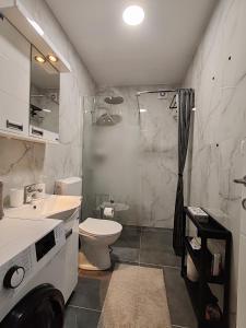 a bathroom with a sink and a toilet and a shower at Apartmani Arija in Veliko Gradište +69 photos