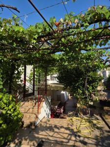 Zahrada ubytování Bozovic Apartments I