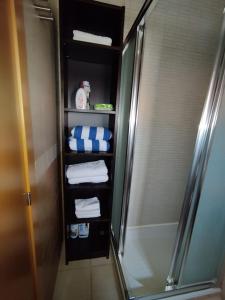 a bathroom with a shower and a towel rack at casa con piscina Comarruga in Comarruga