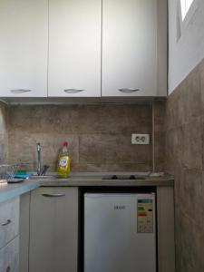 Kuchyň nebo kuchyňský kout v ubytování Bozovic Apartments I
