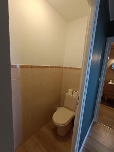 a bathroom with a toilet in a room at le contemporain in Bastia +14 photos