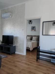 Televisyen dan/atau pusat hiburan di Apartman Rakanović