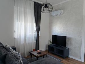 Televisyen dan/atau pusat hiburan di Apartman Rakanović
