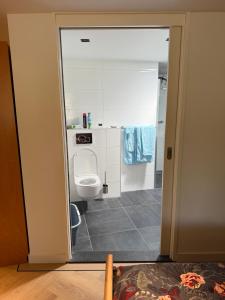 a bathroom with a toilet and a shower at Maison Lelystad in Ons Belang