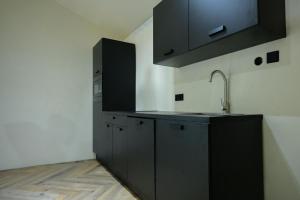 uma cozinha com armários pretos e um lavatório em Aki Banda Suites em Willemstad mais 9 fotografias