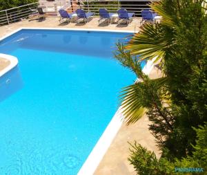 a large blue swimming pool with chairs and a palm tree at Panorama apartments in Agios Gordios