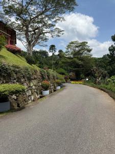 a road with a stone wall and a tree at Eagles Hideout Kandy in Bowala