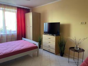 een slaapkamer met een bed en een flatscreen-tv bij Elena in Ventspils