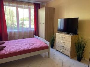 een slaapkamer met een bed, een tv en een dressoir bij Elena in Ventspils