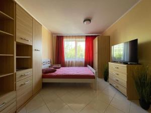 een slaapkamer met een bed, een raam en een tv bij Elena in Ventspils +22 foto's