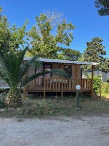 a wooden house with a porch and a tree at Mobil home 6 personnes à 400m de la mer in Argelès-sur-Mer