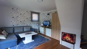 a living room with a blue couch and a fireplace at Sun-Moon Apartment in Zbilje