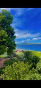 a tree in a field with the ocean in the background at Casa Bela Vista in Pão de Açúcar