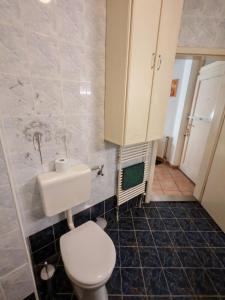 a bathroom with a toilet and a sink at Wesselényi Apartment in Kecskemét