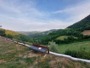 a bench with a stuffed animal on it sitting on a hill at casa Donadiolla in Maiola +3 photos