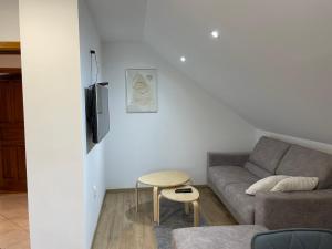 a living room with a couch and a table at Studio apartman SALOPEK 2 in Ogulin