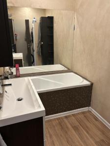 un bagno con una grande vasca e un lavandino di Luxusní apartmán v centru Jihlavy a Jihlava