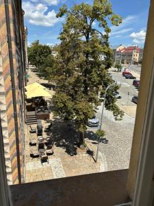 una vista da una finestra di un albero e delle sedie di Luxusní apartmán v centru Jihlavy a Jihlava