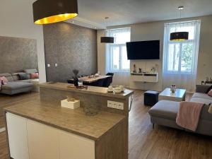 TV o dispositivi per l'intrattenimento presso Luxusní apartmán v centru Jihlavy