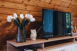 Un jarrón de flores blancas sobre un estante junto a un televisor. en Zöld Éden Kabin, en Makó
