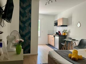 Zimmer mit einer Küche und einem Bett in einem Zimmer in der Unterkunft Studio Rio - Confortable avec jardin d'été I proche gare et centre in Châtellerault + 10 Fotos