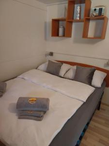 Katil atau katil-katil dalam bilik di Mobile Home DAVID Pirovac +25 gambar
