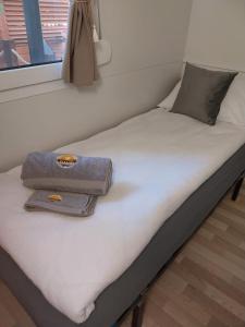 Katil atau katil-katil dalam bilik di Mobile Home DAVID Pirovac
