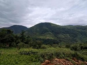 auliculiculiculiculiculiculiculiculiculiculiculiculiculiculic at RUBANSi in Shillong