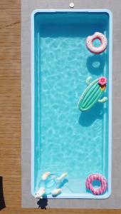 a toy swimming pool with two inflatable turtles and a life preserver at Oleksowiczówka in Zborowice