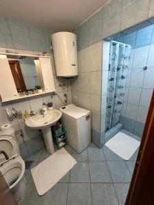 a bathroom with a toilet and a sink and a shower at Iskra house - Perazica Do in Perazića Do +17 photos