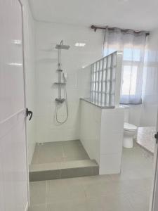 a white bathroom with a shower and a toilet at Devika villa in Triolet +5 photos