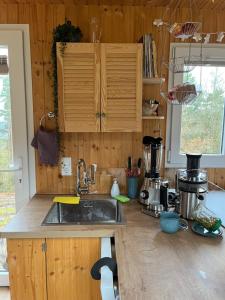 a kitchen with a sink and a counter top at Tinyhaus Liho in Niederdorla