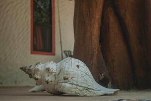 Fotografie z fotogalerie ubytování Villa Los Mangles Boutique Hotel v destinaci Ostrov Holbox