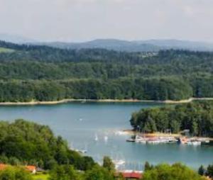 a view of a lake with boats in it at Widoczek in Polańczyk