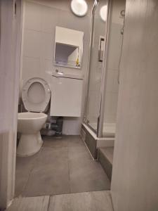 a bathroom with a toilet and a shower at Coin paradisien juillet-août min 3 nuits in Meudon +29 photos