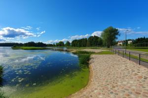 a river with green algae on the shore at JM Apartment in Plungė