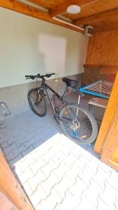 Jízda na kole v ubytování AP2, Hrubá Skála, Apartmány Nad Lípou nebo okolí