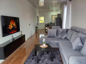 a living room with a couch and a fireplace at Tropical Paradise in Meerzorg