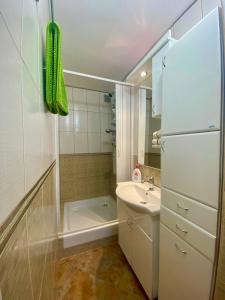 baño pequeño con fregadero y nevera en Villa Maja, en Sutomore