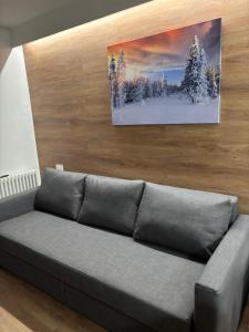 a couch in a living room with a painting on the wall at Soleneve in Passo del Tonale +34 photos