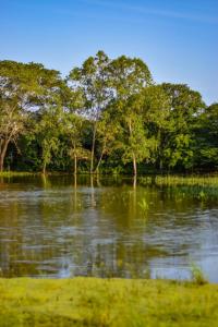 a body of water with trees in the background at Galloping Adventures in Malindi