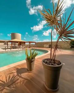due piante in vaso sedute accanto alla piscina di Praia Luxo e Conforto a Vila Velha